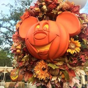 Meet your Posher, Elaina